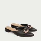  Sapo Cao Gót Mũi Nhọn NP-037 