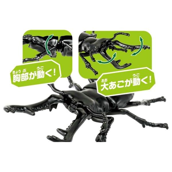  ANIA AS-40 Prosopocoilus Giraffa - Bọ Kẹp Kìm Hươu Cao Cổ 