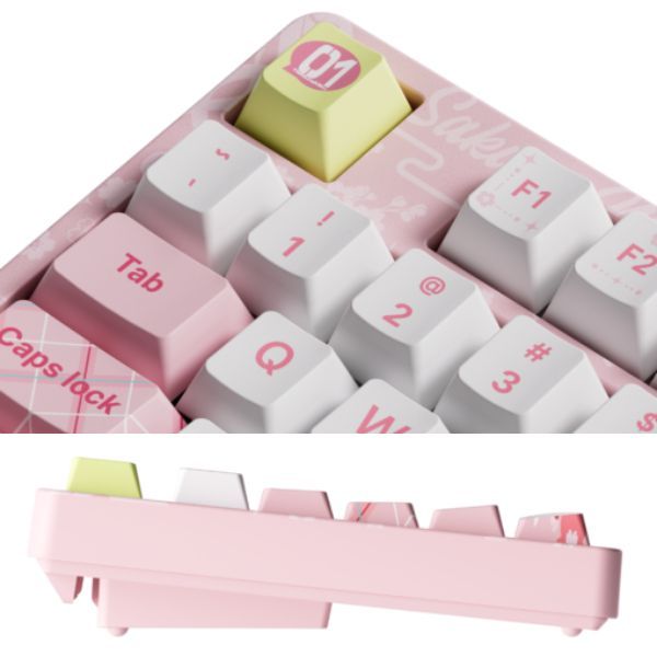  Bàn phím cơ AKKO 5108B Plus Sakura Miku Multi-modes / Led RGB / Hotswap / Piano Switch 