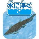  ANIA AL-28 Saltwater Crocodile Floatable Ver - Cá Sấu Nước Mặn 