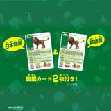  ANIA AL-25 Lion - Sư Tử 