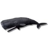  ANIA AL-34 Sperm Whale - Cá Nhà Táng 