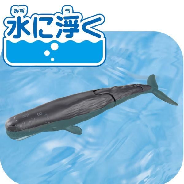  ANIA AL-34 Sperm Whale - Cá Nhà Táng 