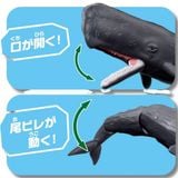  ANIA AL-34 Sperm Whale - Cá Nhà Táng 