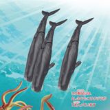  ANIA AL-34 Sperm Whale - Cá Nhà Táng 