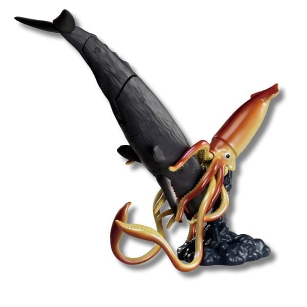  ANIA AL-34 Sperm Whale - Cá Nhà Táng 