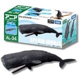  ANIA AL-34 Sperm Whale - Cá Nhà Táng 