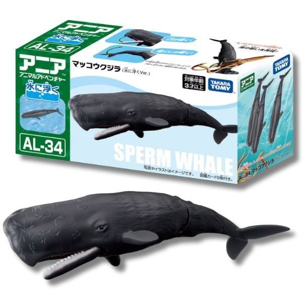  ANIA AL-34 Sperm Whale - Cá Nhà Táng 