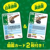  ANIA AL33 Giant Squid - Mực Khổng Lồ 