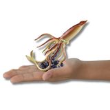  ANIA AL33 Giant Squid - Mực Khổng Lồ 