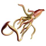  ANIA AL33 Giant Squid - Mực Khổng Lồ 