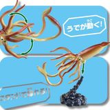  ANIA AL33 Giant Squid - Mực Khổng Lồ 