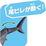  Ania AS-07 Great White Shark - Cá Mập Trắng Lớn 