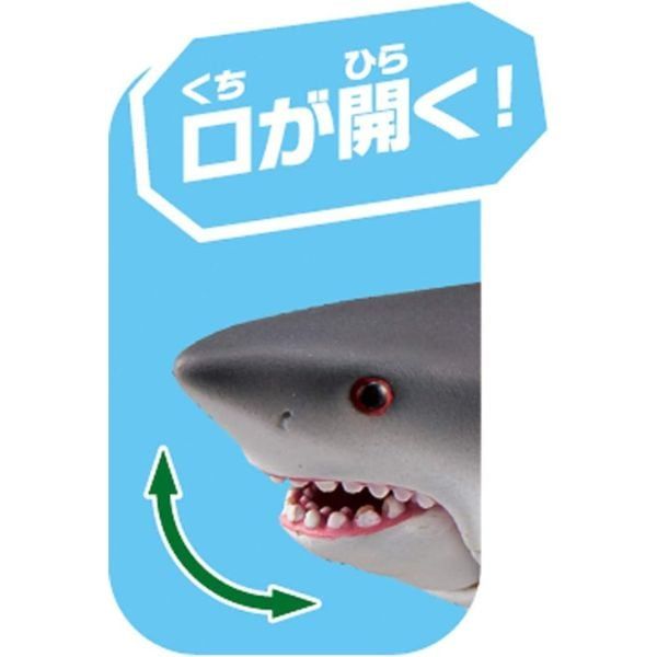  Ania AS-07 Great White Shark - Cá Mập Trắng Lớn 