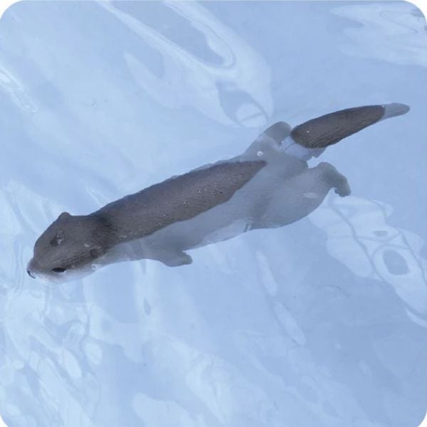  ANIA AS-15 Eurasian Otter Floatable Ver - Rái Cá Á Âu 