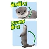  ANIA AS-15 Eurasian Otter Floatable Ver - Rái Cá Á Âu 