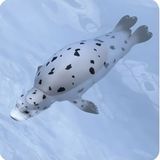  ANIA AS-22 Spotted Seal - Hải Cẩu Đốm 