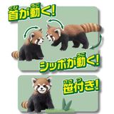  ANIA AS-35 Red Panda - Gấu Trúc Đỏ 