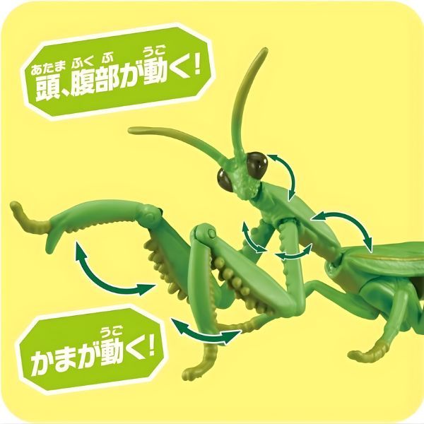  ANIA Japanese Giant Mantis - Bọ Ngựa 