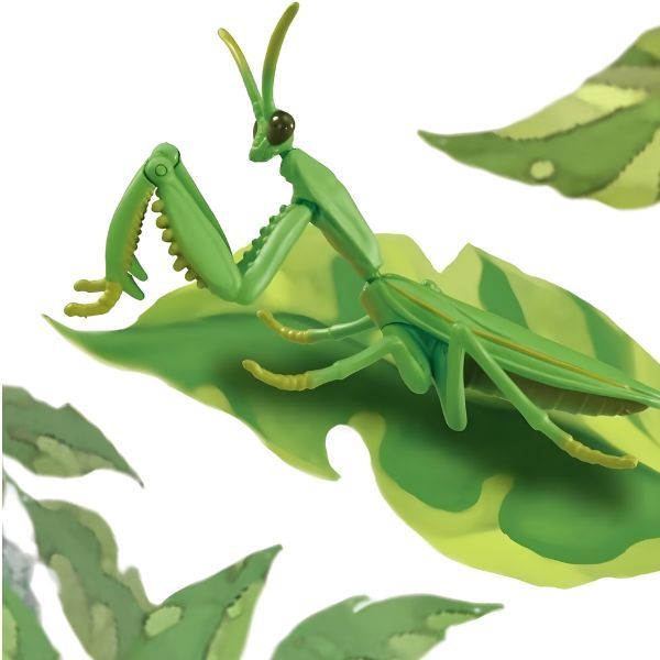  ANIA Japanese Giant Mantis - Bọ Ngựa 