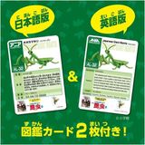  ANIA Japanese Giant Mantis - Bọ Ngựa 