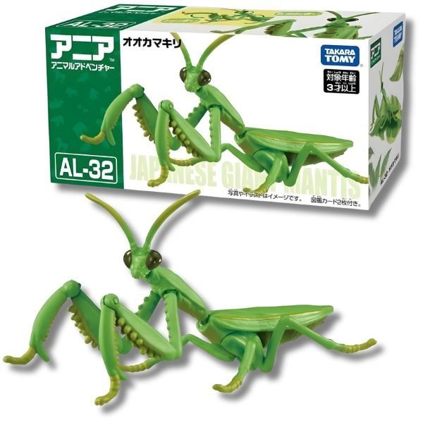  ANIA Japanese Giant Mantis - Bọ Ngựa 
