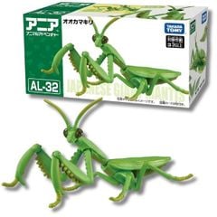 ANIA Japanese Giant Mantis - Bọ Ngựa