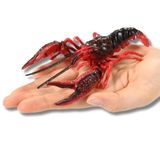  ANIA Louisiana Crawfish - Tôm Hùm Đất 