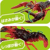  ANIA Louisiana Crawfish - Tôm Hùm Đất 