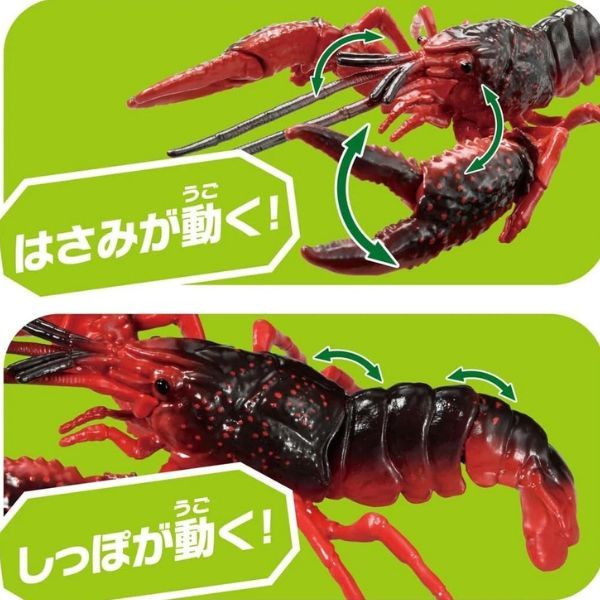  ANIA Louisiana Crawfish - Tôm Hùm Đất 