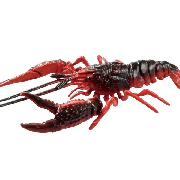  ANIA Louisiana Crawfish - Tôm Hùm Đất 