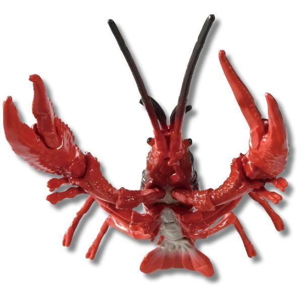  ANIA Louisiana Crawfish - Tôm Hùm Đất 