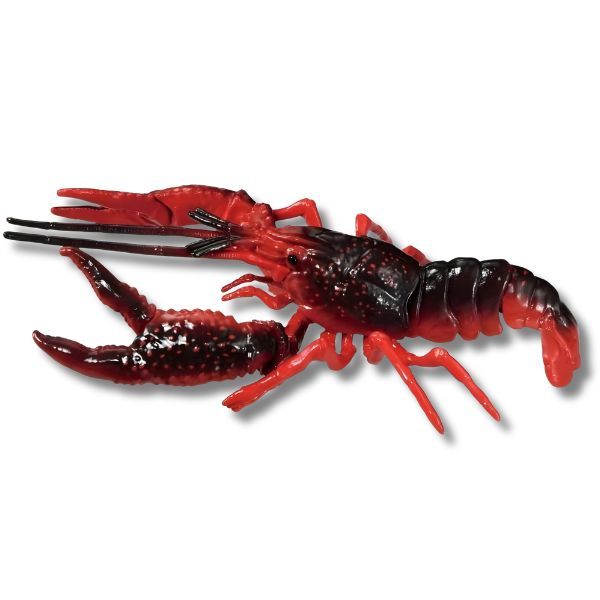  ANIA Louisiana Crawfish - Tôm Hùm Đất 