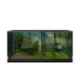  Diorama 1:64 - Khoảng Rừng Thưa 