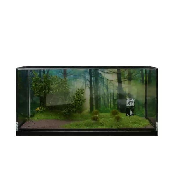 nShop bán Mô hình tiểu cảnh More Art Diorama 1:64 - Khoảng Rừng Thưa ship hỏa tốc 1 tiếng giá tốt