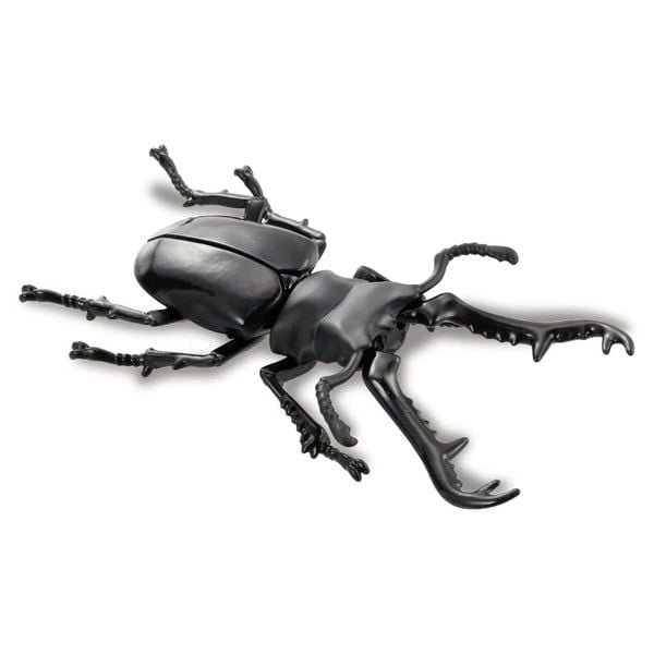 nShop bán ANIA AL-38 Giraffe Stag Beetle - Bọ cánh cứng Takara Tomy chính hãng giá tốt chất lượng cao