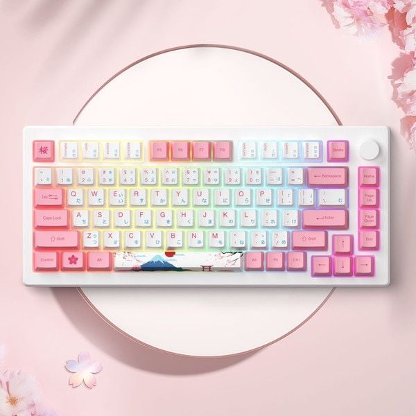  Bàn phím cơ AKKO MOD007B-HE PC Tokyo Sakura Pink Magnetic Switch 