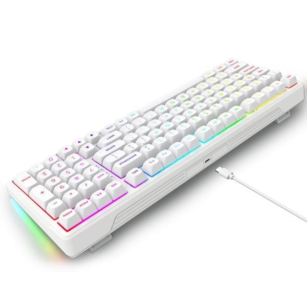  Bàn Phím Cơ Gaming E-YOOSO Z99 RGB USB 99 Phím White - Silverwood Switch 