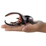  ANIA AL-39 Neptune Beetle - Bọ cánh cứng 