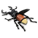  ANIA AL-38 Giraffe Stag Beetle - Bọ cánh cứng 