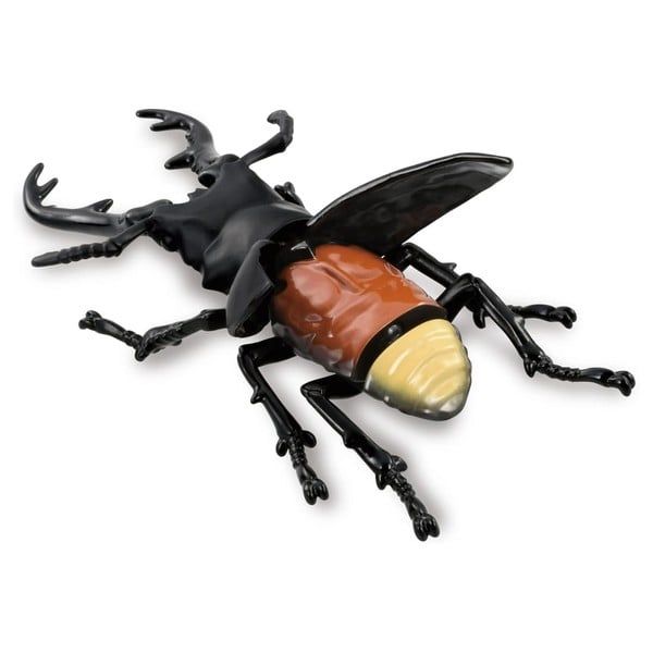  ANIA AL-38 Giraffe Stag Beetle - Bọ cánh cứng 