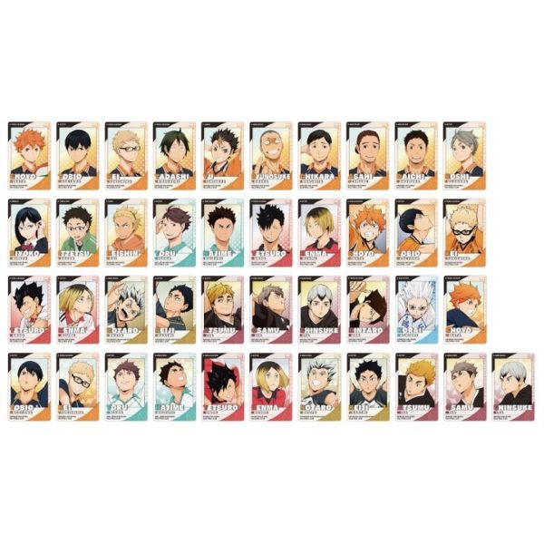  Thẻ Sưu Tập Haikyuu!! Snapmide 2 