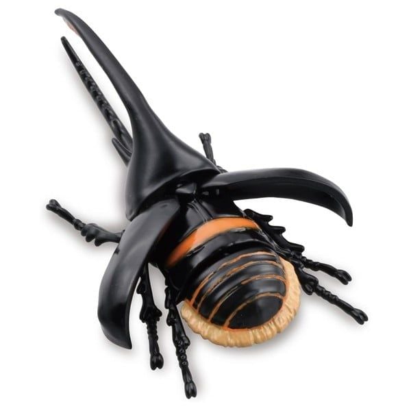 ANIA AL-39 Neptune Beetle - Bọ cánh cứng 