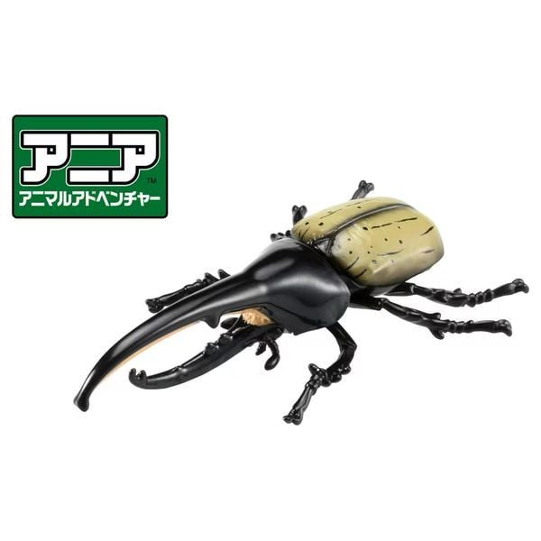 mô hình côn trùng ANIA AS-38 Hercules Beetle - Bọ Cánh Cứng Lực Sĩ chính hãng
