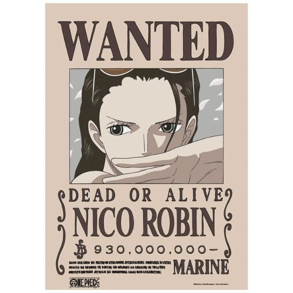 Poster One Piece V2 - Lệnh truy nã Robin Chính Hãng