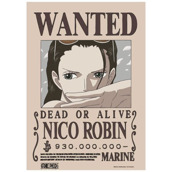  Poster One Piece V2 - Lệnh truy nã Robin 