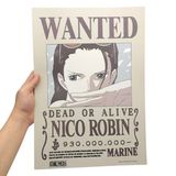  Poster One Piece V2 - Lệnh truy nã Robin 