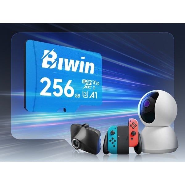  Thẻ nhớ MicroSD Biwin 256GB MS100 cho Nintendo Switch 