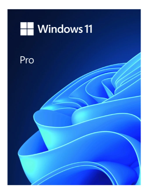 Phần mềm Microsoft Windows Pro 11 64Bit USB FPP (HAV-00163)