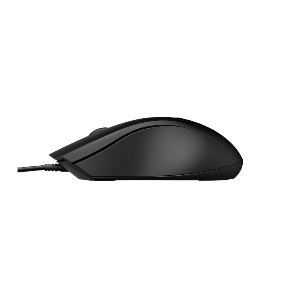Chuột có dây HP 100 (6VY96AA)